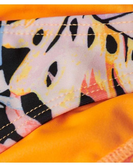 Superdry Pink & Co Ladies Classic Printed Bikini Briefs