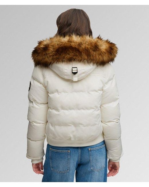 Superdry Gray & Co Everest Hooded Bomber Jacket