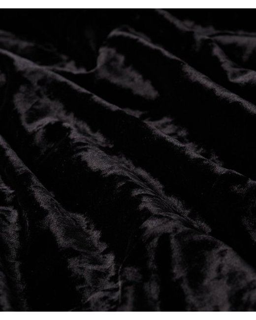 Superdry Black & Co Lace Sleeve Velvet Midi Dress