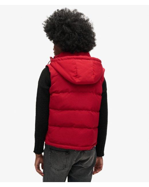 Superdry Red & Co Everest Hooded Puffer Gilet