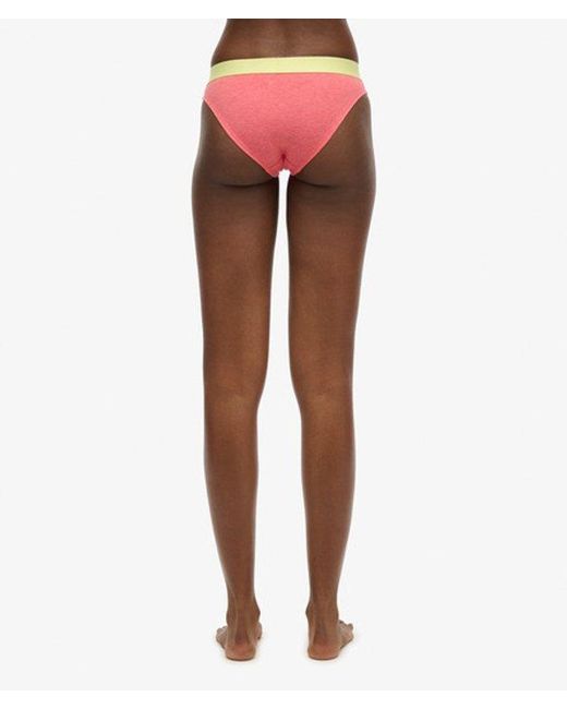 Superdry Red Organic Cotton Large Logo Bikini Briefs