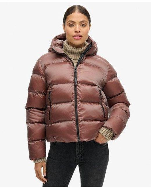 Superdry Brown Hooded Luxe Sports Puffer Jacket - Size: 10