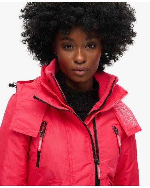 Superdry Red Mountain Sd-windcheater Jacket