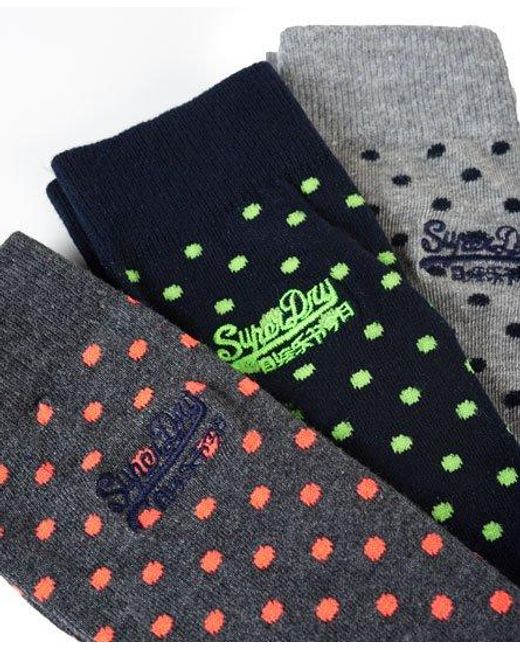 Superdry Blue Polka Dot Sock Triple Pack Multi for men