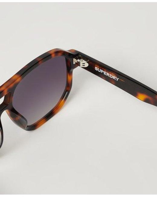 Superdry Brown Sdr 70s Aviator Sunglasses for men
