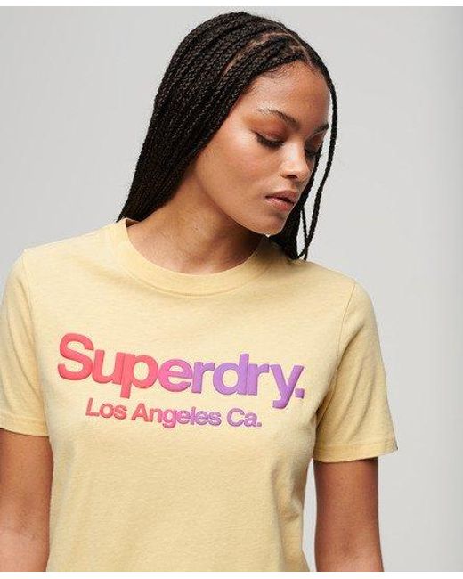Superdry Tonal Rainbow Core T-shirt in het Natural