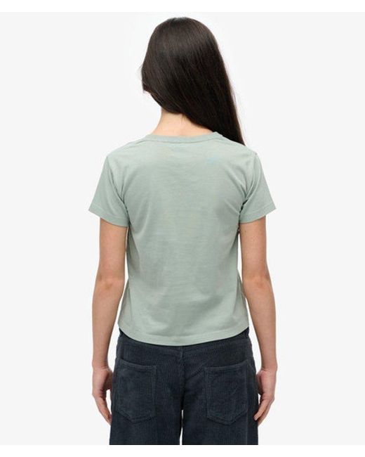 Superdry Gray & Co Athletic Graphic Fitted T-shirt