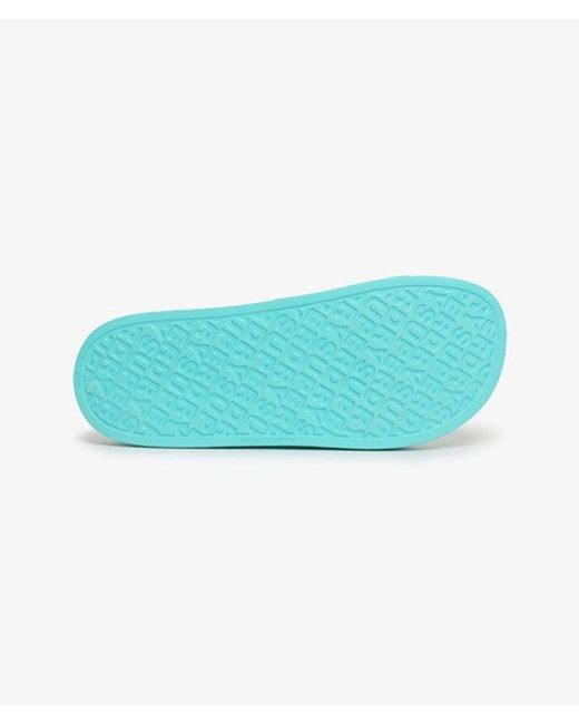 Superdry Blue & Co Core Ombre Pool Sliders