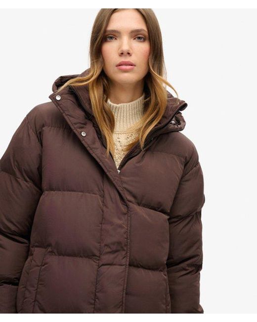 Superdry Brown & Co Classic Maxi Hooded Puffer Coat