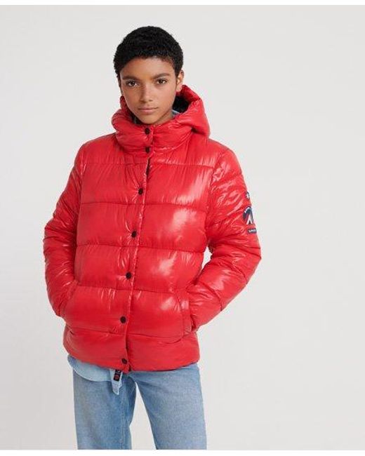 Red High Shine Puffer Jacket Sale, 60% OFF | www.colegiogamarra.com