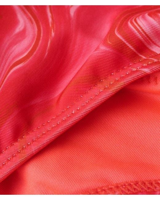 Superdry Cheeky Bikinibroekje Met Print in het Red