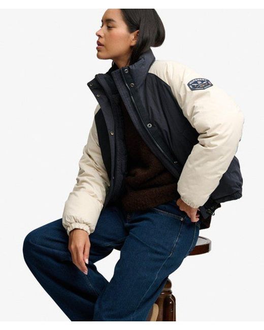 Superdry Blue Cotton Padded Shell Jacket