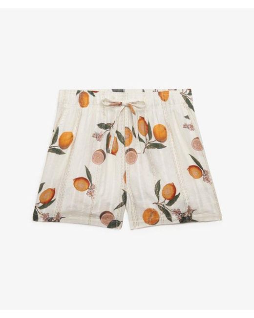 Superdry White & Co Cotton Printed Beach Shorts