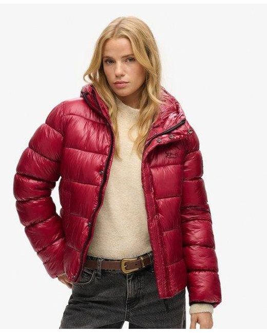 Superdry Red Hooded Shine Sports Puffer Jacket Purple / Dark Berry - Size: 12