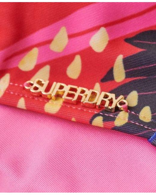 Superdry Multicolor Tropical Bandeau Bikini Top
