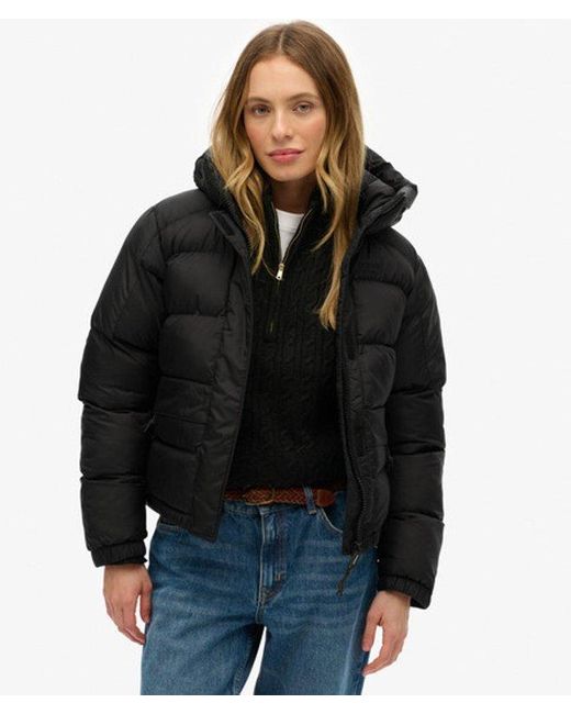 Superdry Black & Co