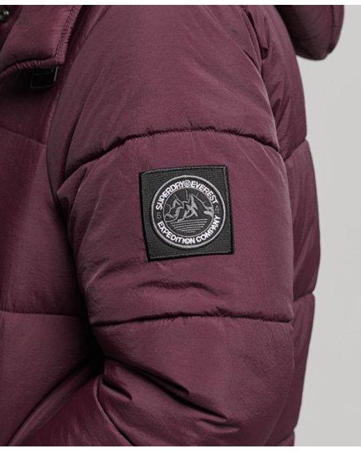 Superdry Purple Expedition Cocoon Padded Coat