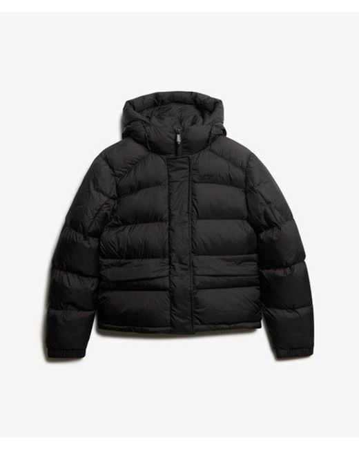 Superdry Black & Co