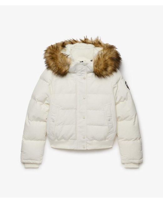 Superdry Gray Everest Hooded Bomber Jacket