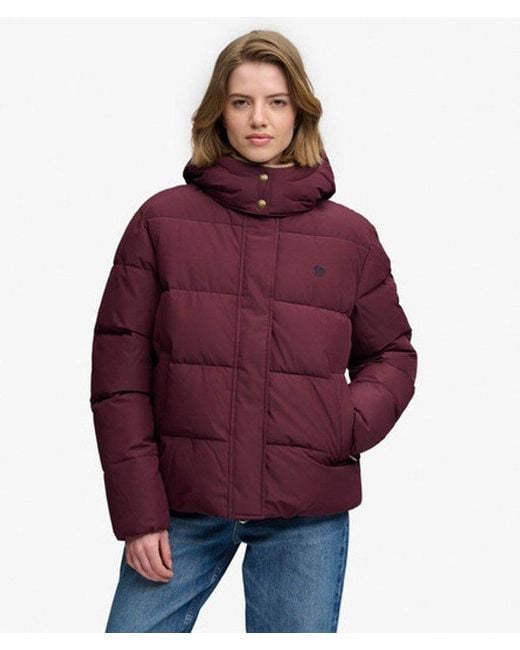 Superdry Red & Co Premium Hooded Puffer Jacket
