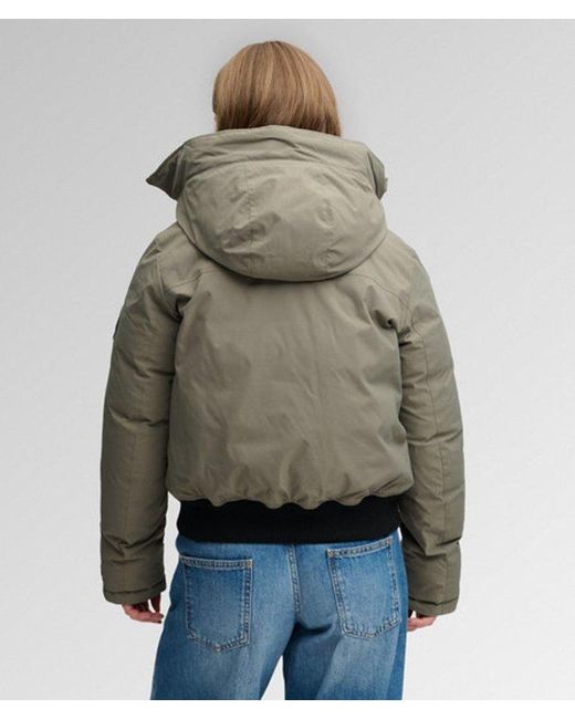 Superdry Gray & Co City Padded Bomber Jacket