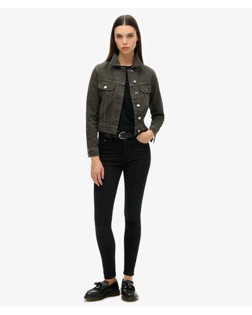 Superdry Brown Boxy Fit Embellished Graphic St Tropez Workwear Crop Jacket