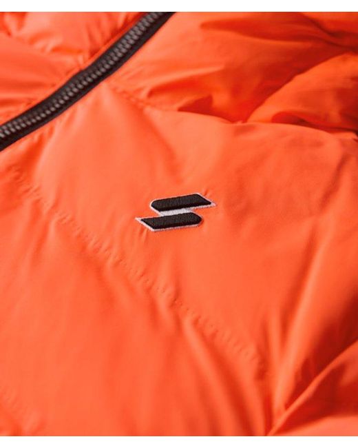 Superdry Red & Co All Seasons Padded Jacket