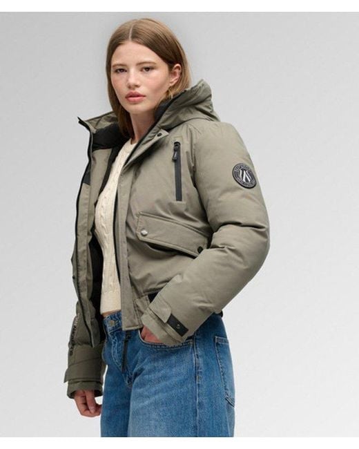 Superdry Gray & Co City Padded Bomber Jacket