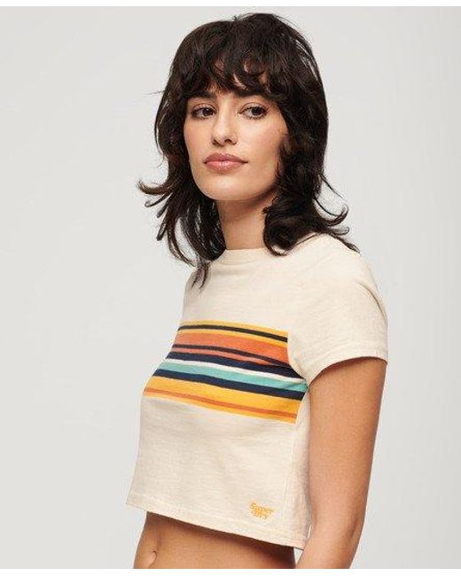 Superdry Natural Vintage Stripe Crop T-shirt