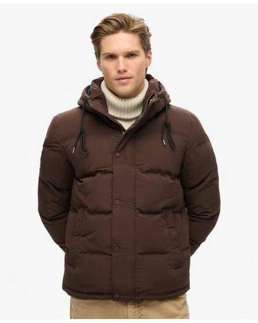 Superdry Korte Everest Pufferjas Met Capuchon in het Brown voor heren