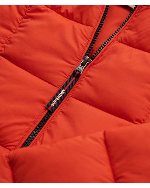 Superdry Red & Co Hooded Box Quilt Fuji Lite Jacket for men