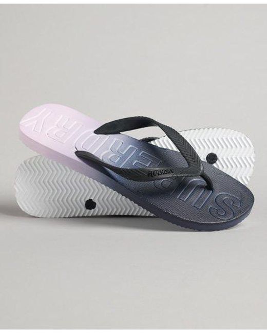 Superdry Gray Code Dip Dye Flip Flops /Lilac Dip Dye for men