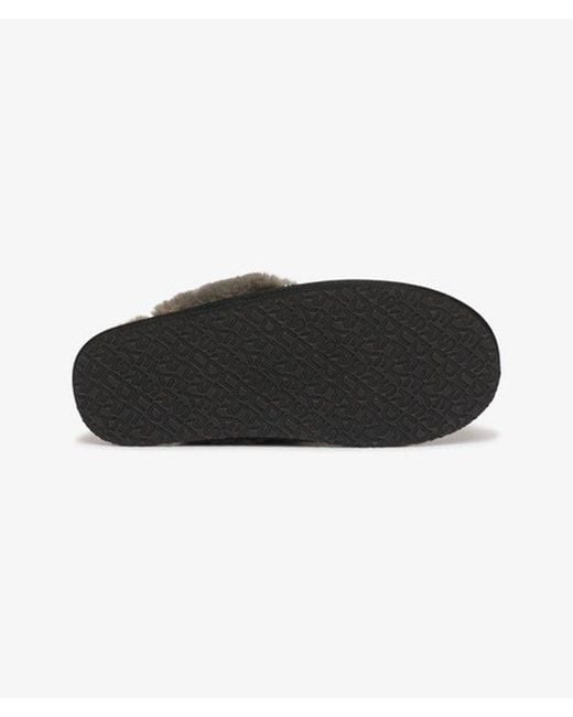 Superdry Black & Co Mule Slipper