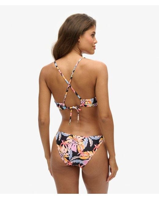 Superdry Pink & Co Ladies Classic Printed Bikini Briefs