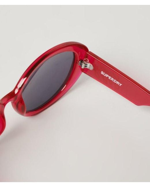 Superdry Pink & Co Sdr Oversized Bug Sunglasses
