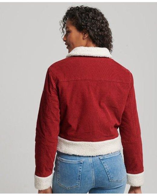 Superdry Red Borg Lined Indie Jacket Merlot