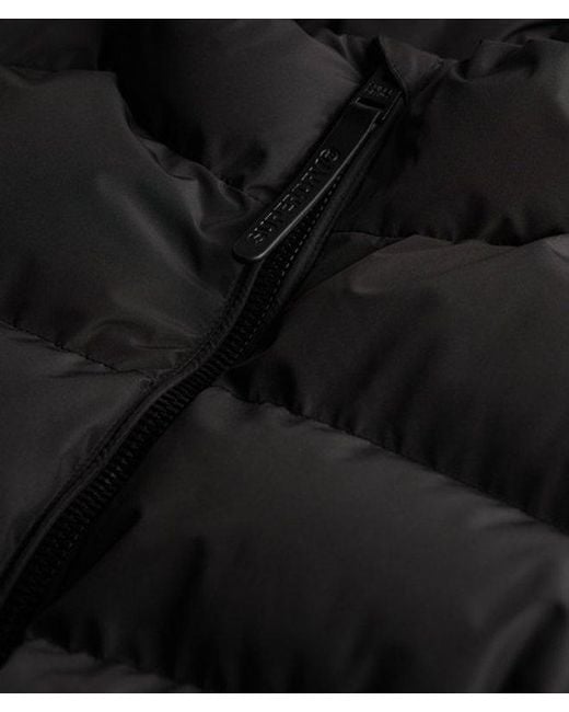 Superdry Black & Co Non Hooded Sports Puffer Jacket