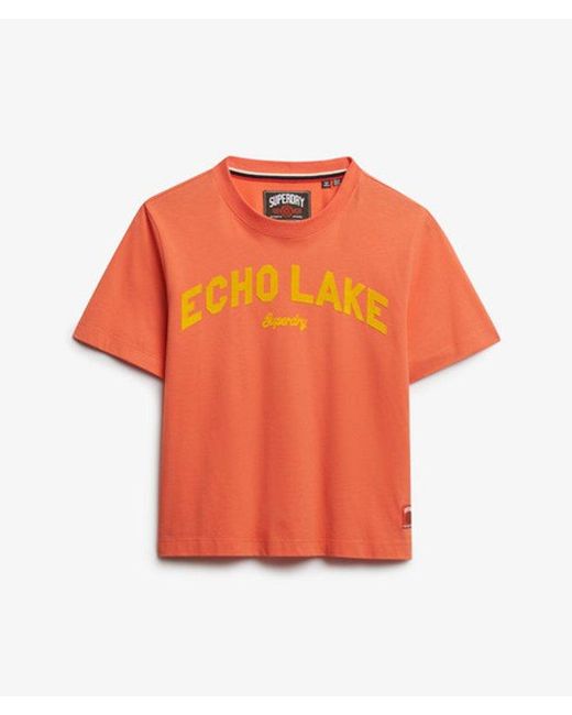 Superdry Red & Co Outdoor Location Box Loose T-shirt