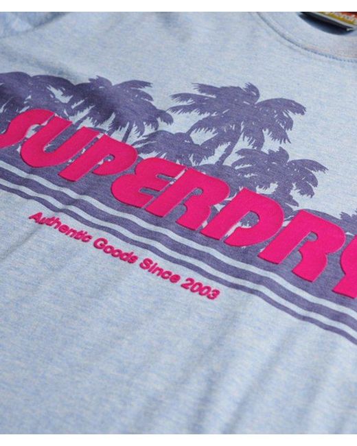 Superdry Blue & Co Outdoor Stripe Relaxed T-shirt