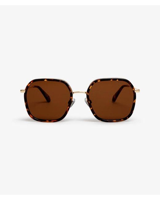 Superdry Brown & Co Framed Metal Square Sunglasses