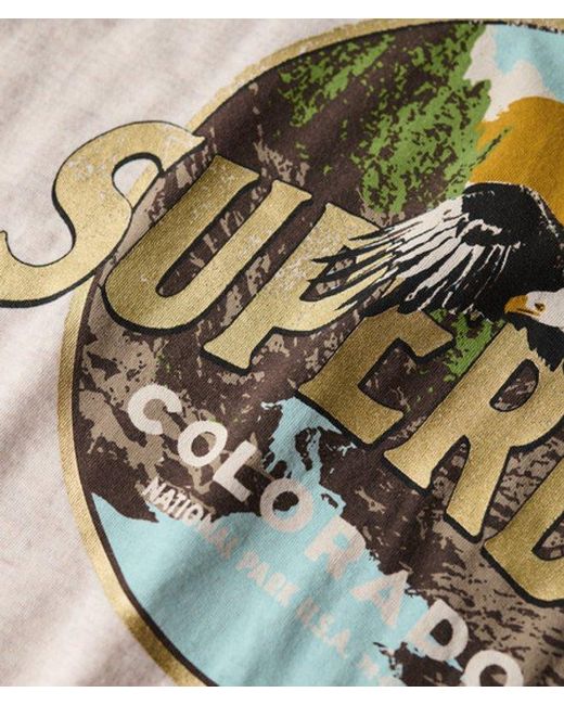 Superdry White & Co Travel Souvenir Relaxed T-shirt