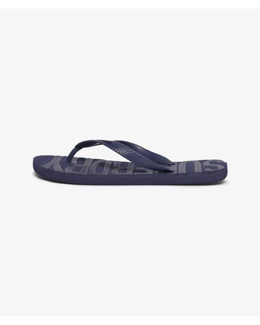 Superdry Blue & Co Core Logo Flip Flops for men