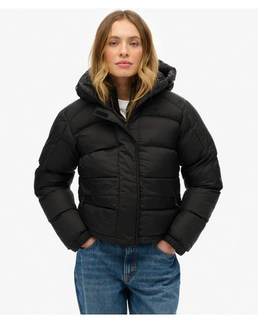 Superdry Black & Co