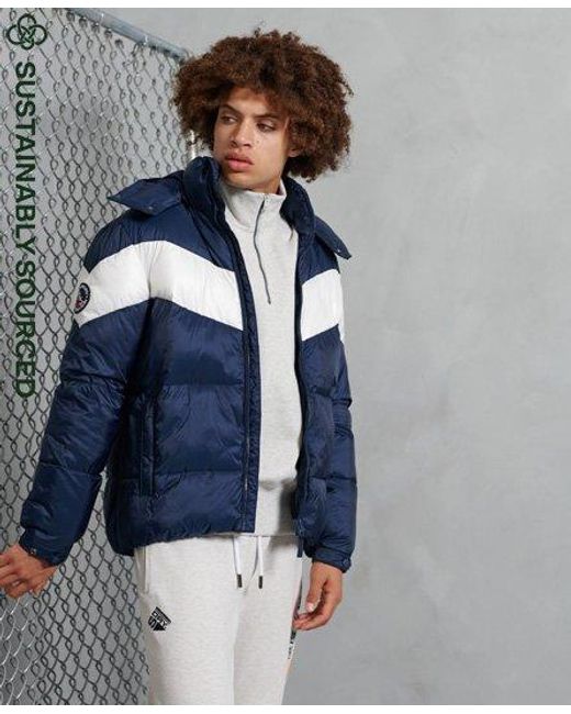 superdry coat blue