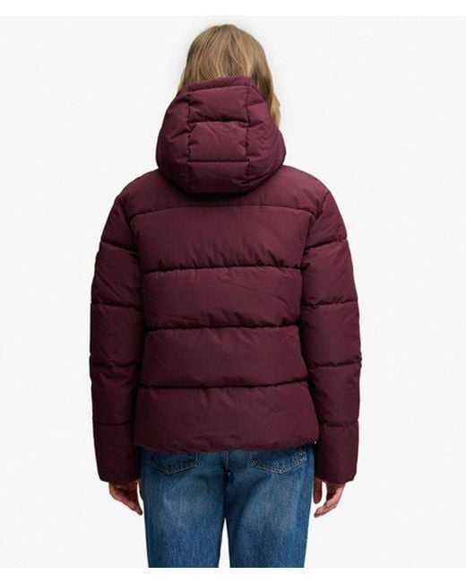 Superdry Red & Co Premium Hooded Puffer Jacket