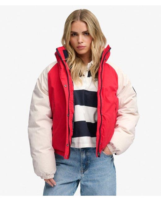 Superdry Red & Co Cotton Padded Shell Jacket