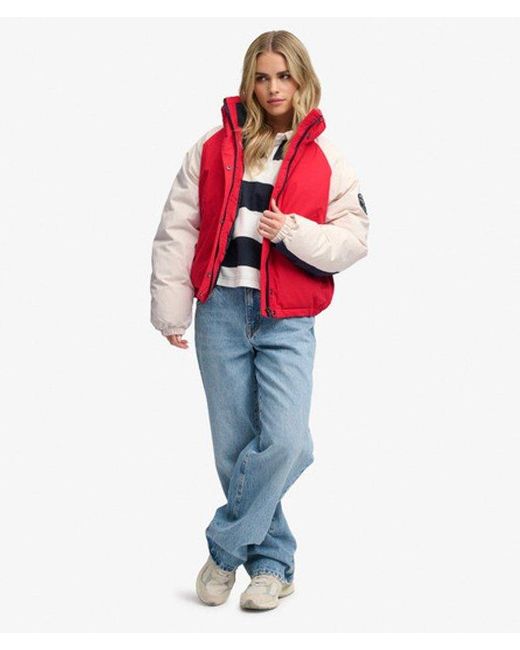 Superdry Red & Co Cotton Padded Shell Jacket