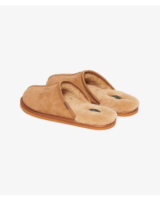 Superdry Brown & Co Mule Slipper for men