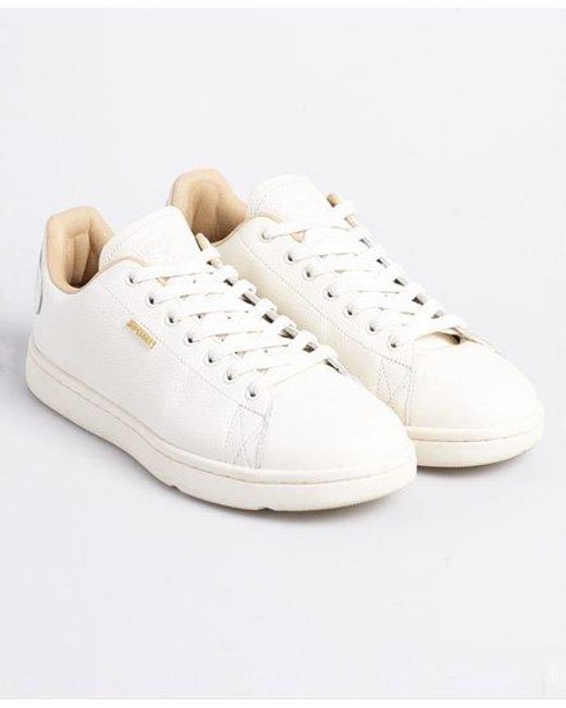 superdry leather trainers