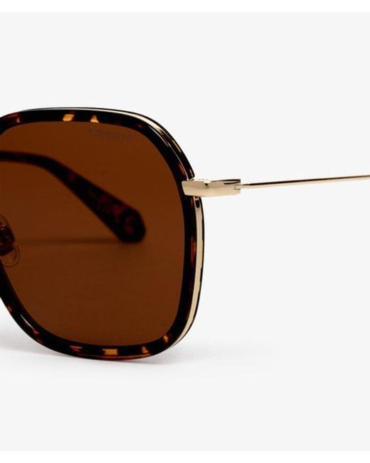 Superdry Brown & Co Framed Metal Square Sunglasses